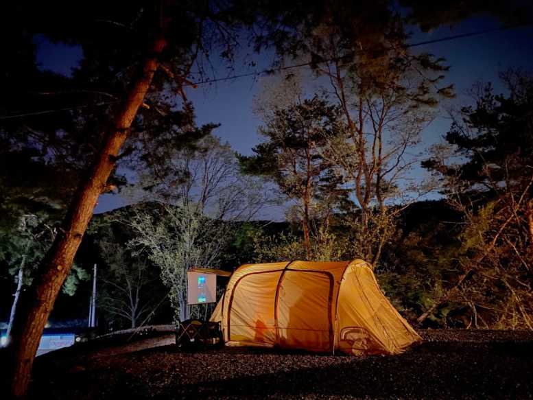 경기도 포천 여행 야영장 감성 카라반 글램핑 애견 소형견 동반 가능 어거스트 캠핑장