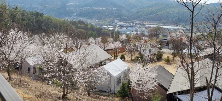 경기도 포천 여행 야영장 글램핑 유아 수영장 놀이터 캠핑장 캠핑플래닛