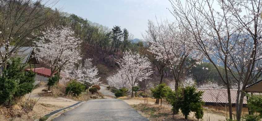 경기도 포천 여행 야영장 글램핑 유아 수영장 놀이터 캠핑장 캠핑플래닛