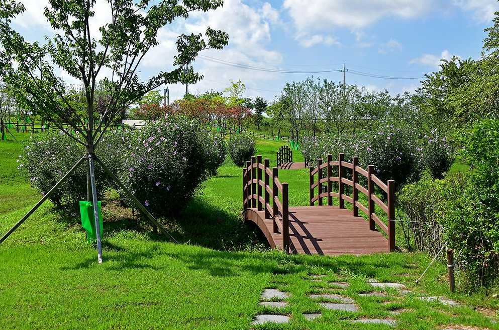 전라도 광주 승촌동 여행 영산강 야영장 공원 산책 승촌보 캠핑장