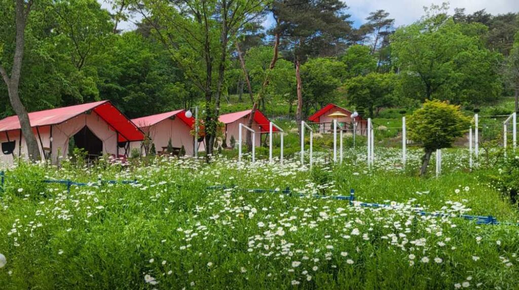 전남 전라도 여행 캠핑장 펜션 숙박 화순 정원 글램핑 관광농원