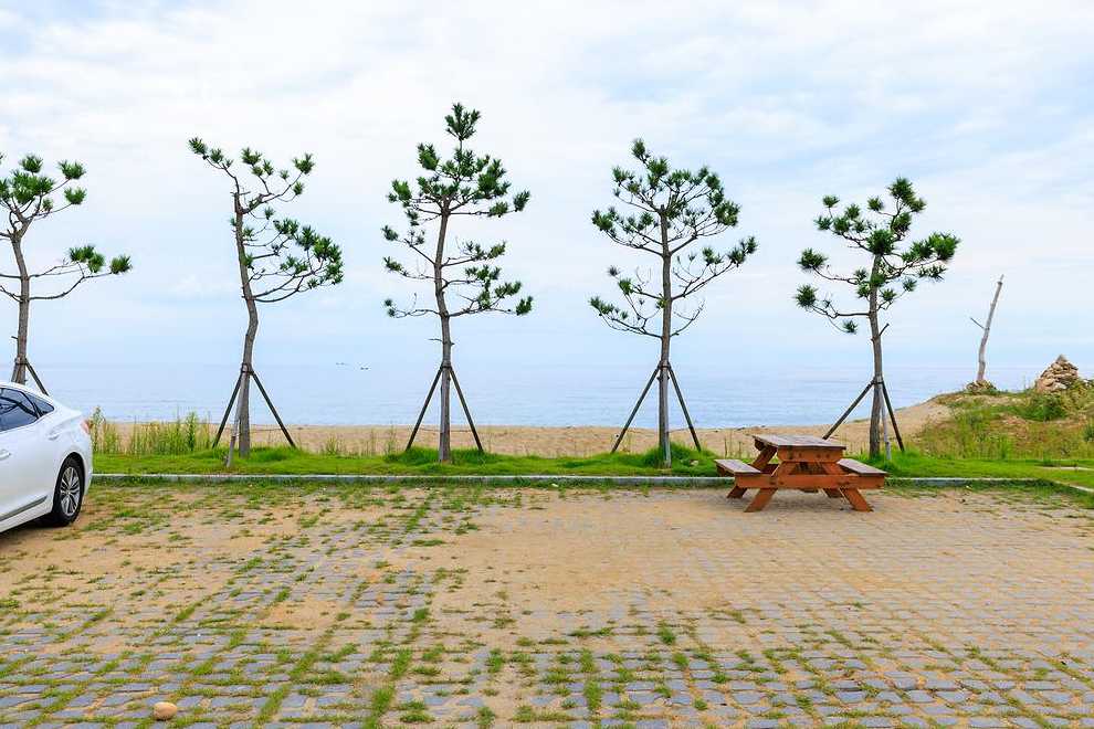 경상도 경북 울진 망양정 해수욕장 야영장 카라반 염전 해변 캠핑장