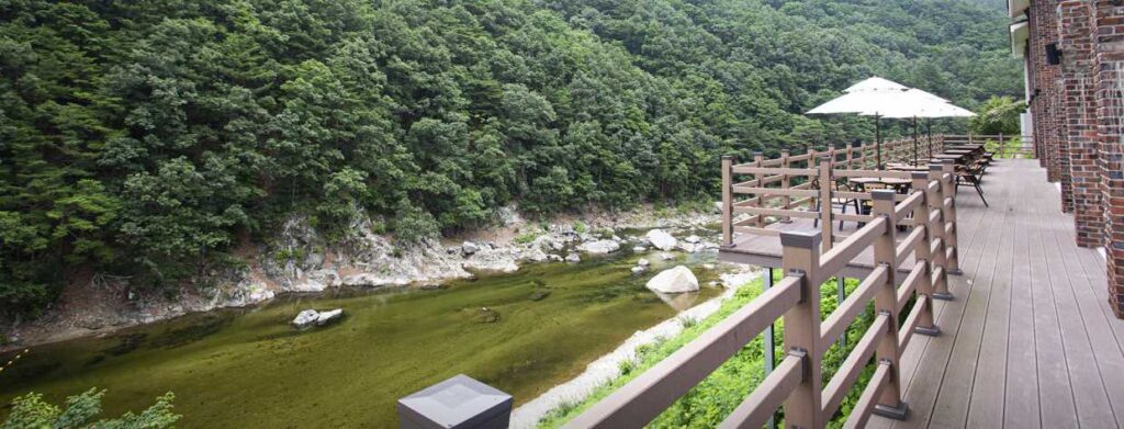 경상도 경북 울진 야영장 글램핑 불영사 계곡 물놀이 캠핑장 카페