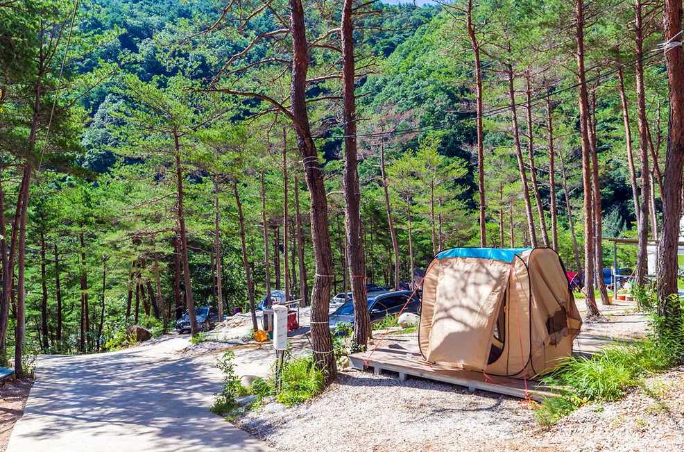 경상도 경북 울진 야영장 애견동반 계곡 물놀이 왕피천 숲속 캠핑장