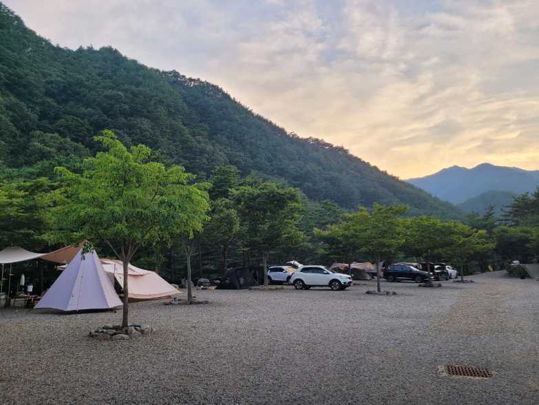 경상도 경북 울진 계곡 물놀이 캠핑장 펜션 왕피천 하늘담 야영장