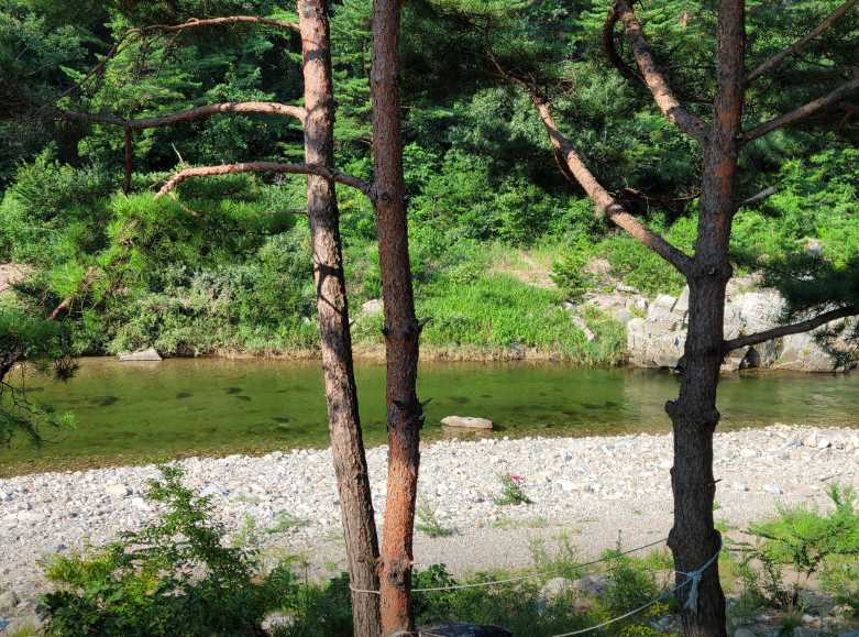 경상도 경북 울진 계곡 물놀이 캠핑장 펜션 왕피천 하늘담 야영장