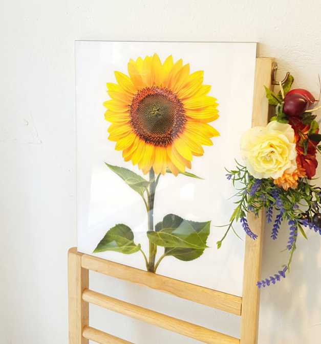 돈들어오는 그림 해바라기 현관 풍수 액자 이사 선물