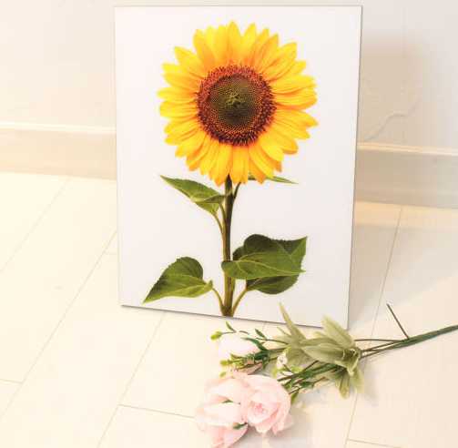 돈들어오는 그림 해바라기 현관 풍수 액자 개업 집들이 이사 선물